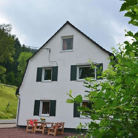 Willa Haus Elpe Naehe Meschede Winterberg Olsberg Zewnętrze zdjęcie