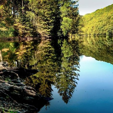 Willa Haus Elpe Naehe Meschede Winterberg Olsberg Zewnętrze zdjęcie