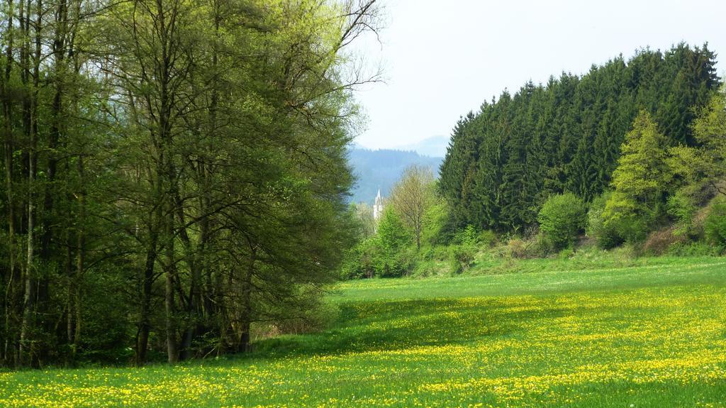Willa Haus Elpe Naehe Meschede Winterberg Olsberg Pokój zdjęcie