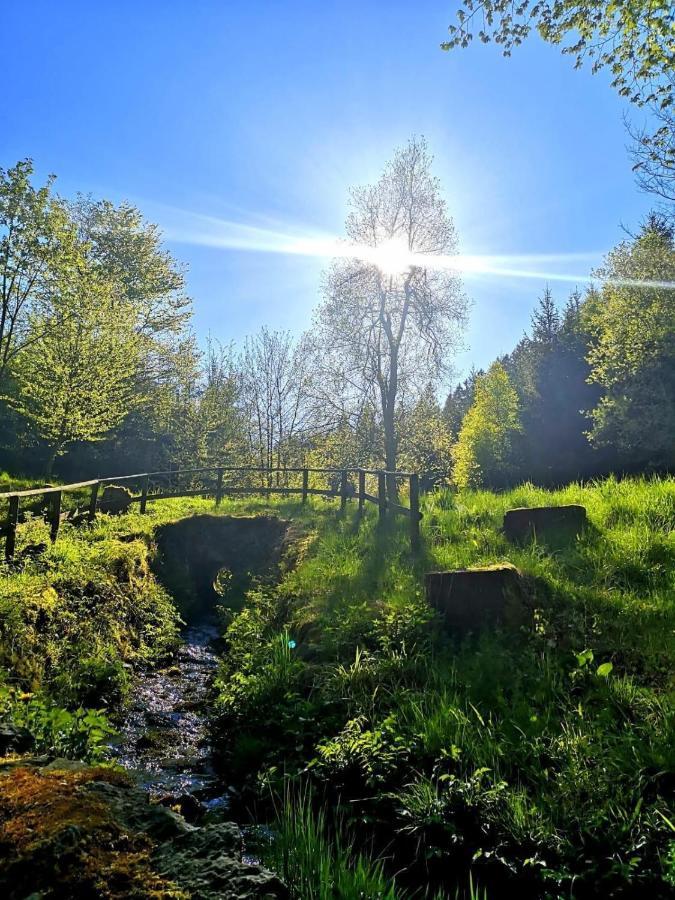 Willa Haus Elpe Naehe Meschede Winterberg Olsberg Zewnętrze zdjęcie